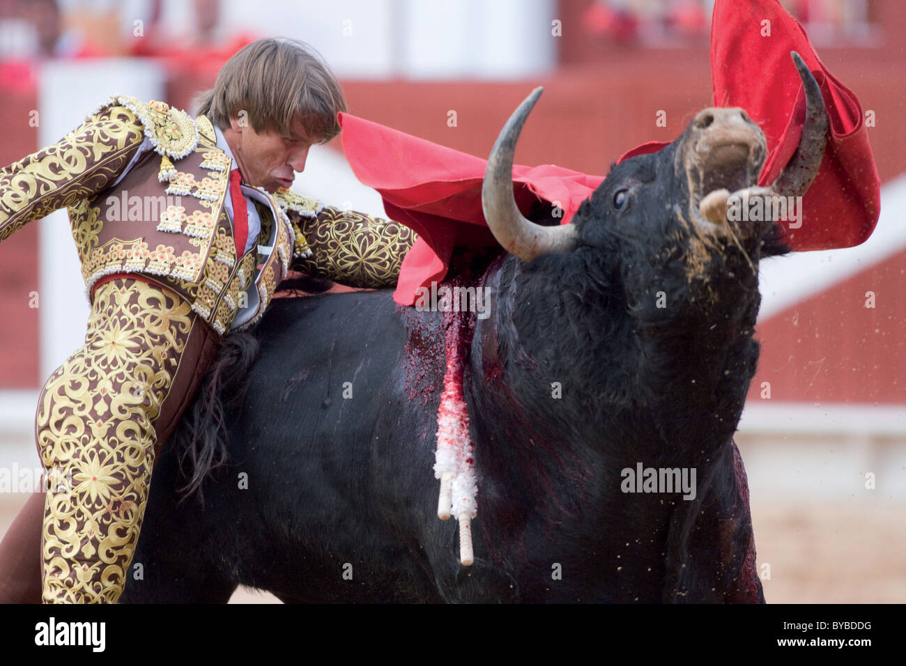 Bullfight.Gijón, Asturias, Spain, in the bullring. Bullfighting fair in honor of the Virgin Our Lady of Begoña Stock Photo
