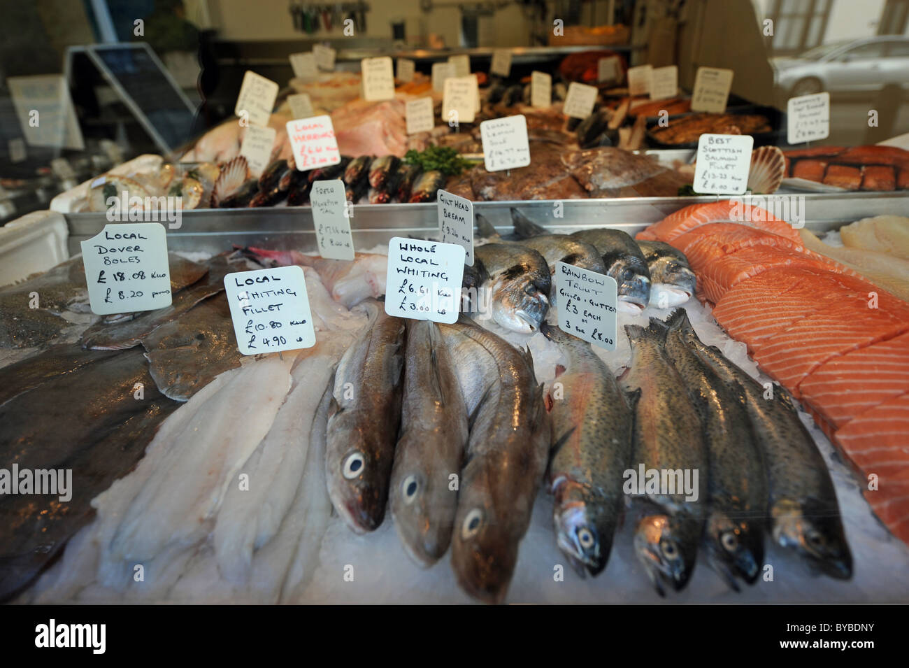 Freshly caught wet fish for sale at Peters fish shop in Hastings Old