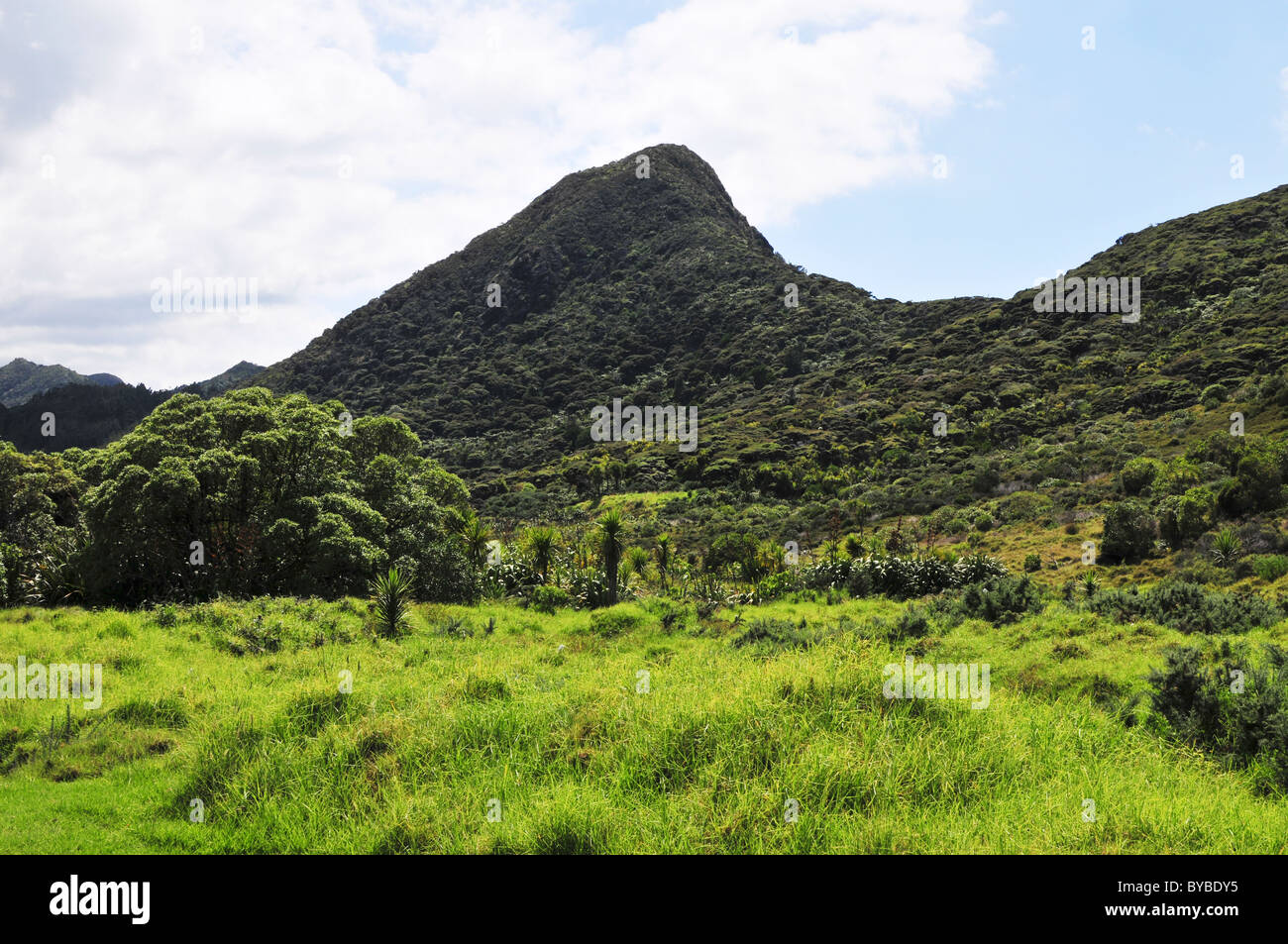 Whatipu, in the Waitakere Ranges region of West Auckland, New Zealand, Stock Photo