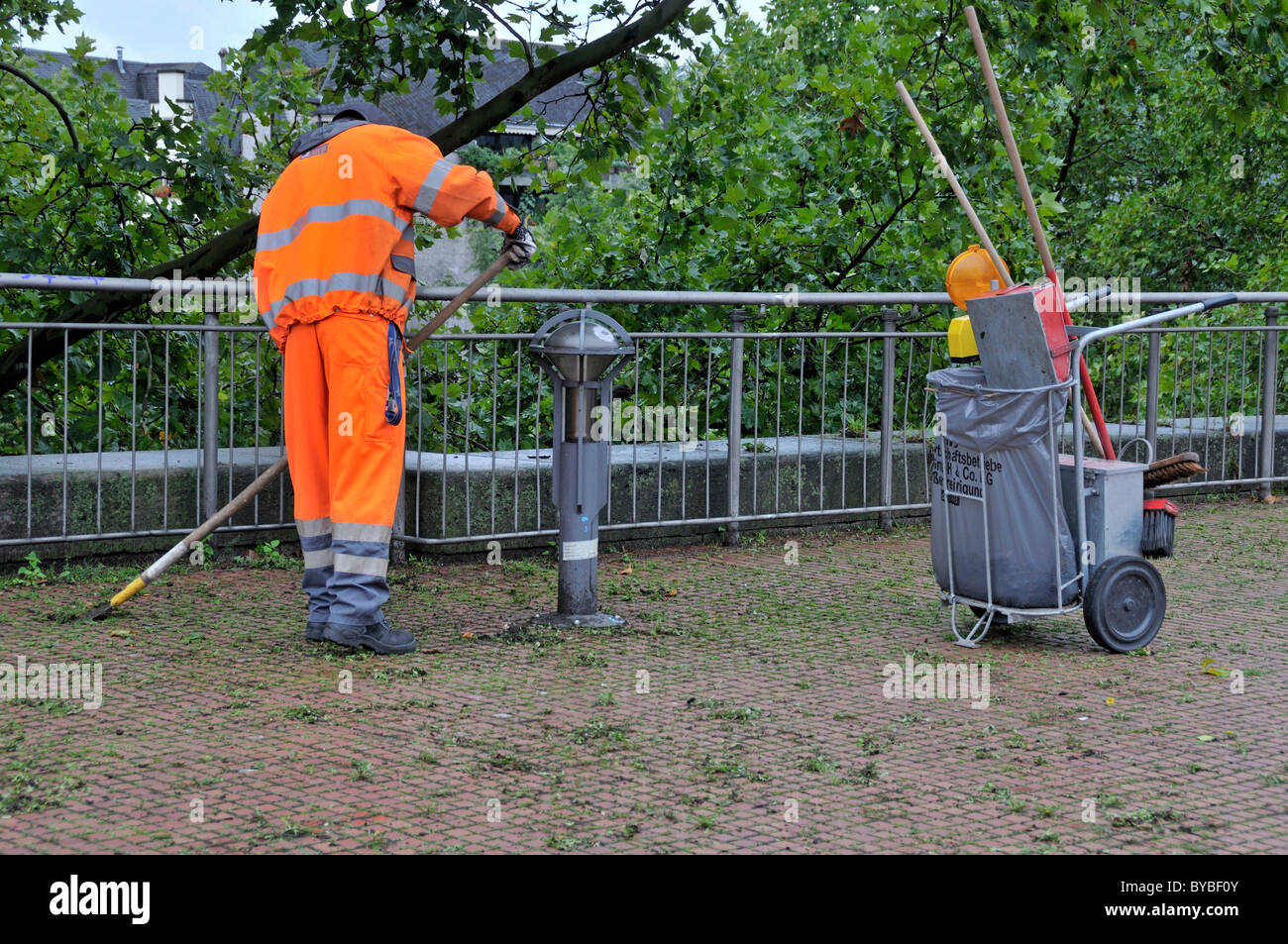 Worker clearing weeds, Heinrich-Boell-Platz, Cologne, North Rhine-Westphalia, Germany, Europe Stock Photo