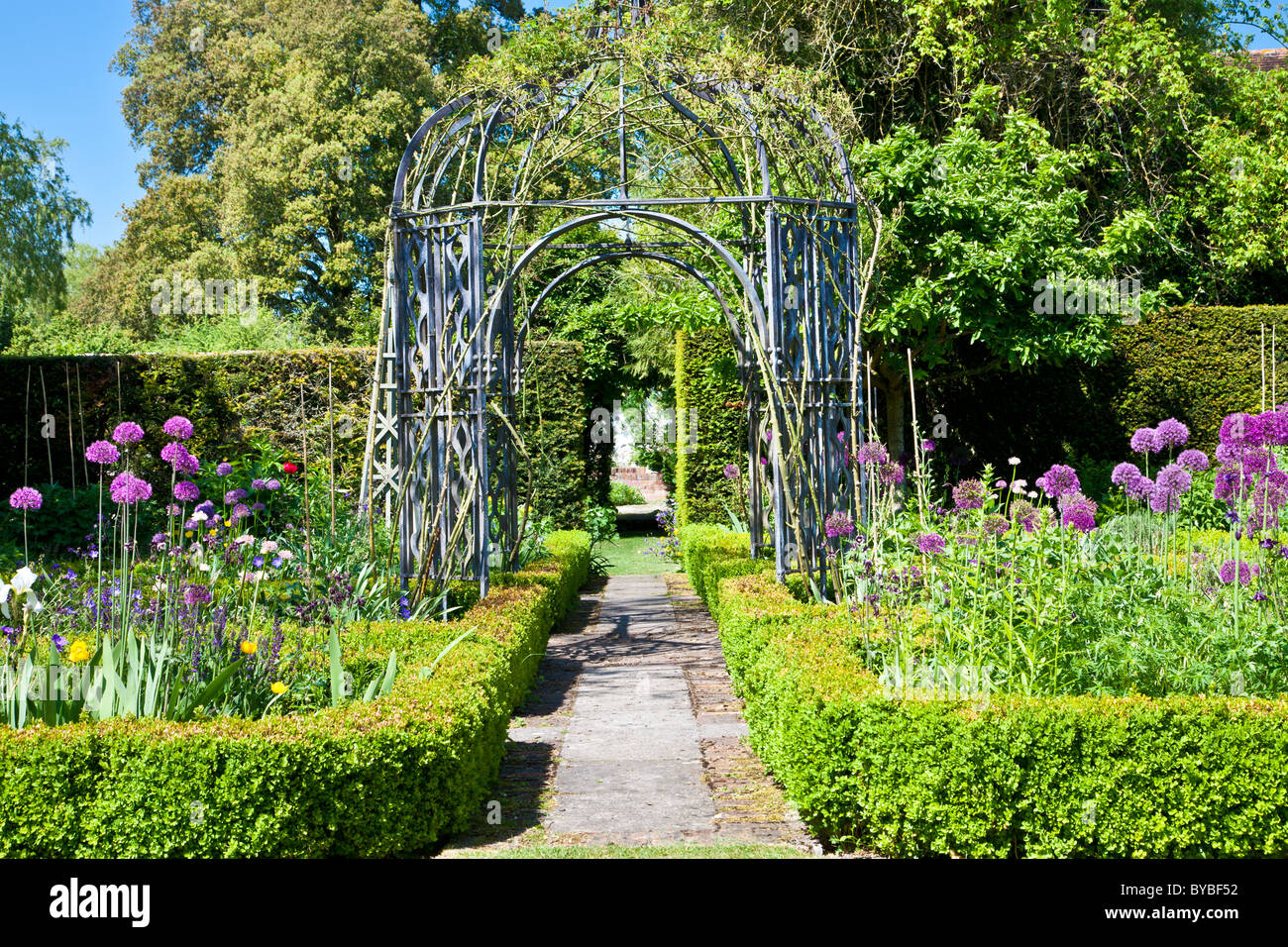 A paved path under an arbour or pergola with box hedged bedds around in an English country garden in summer. Stock Photo
