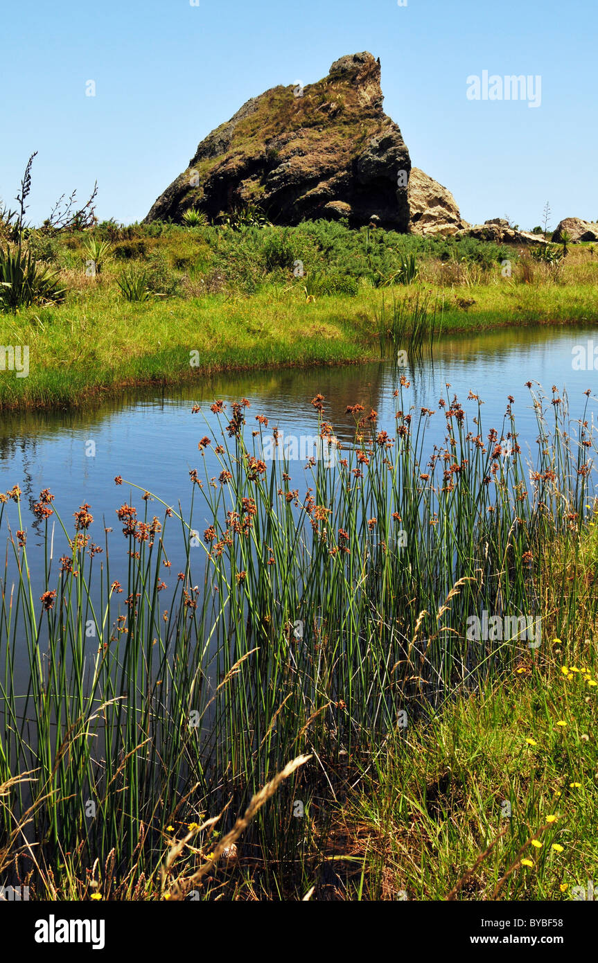 Cutter Rock (Te Marotiri o Takamiro) at Whatipu in the Waitakere Ranges ...