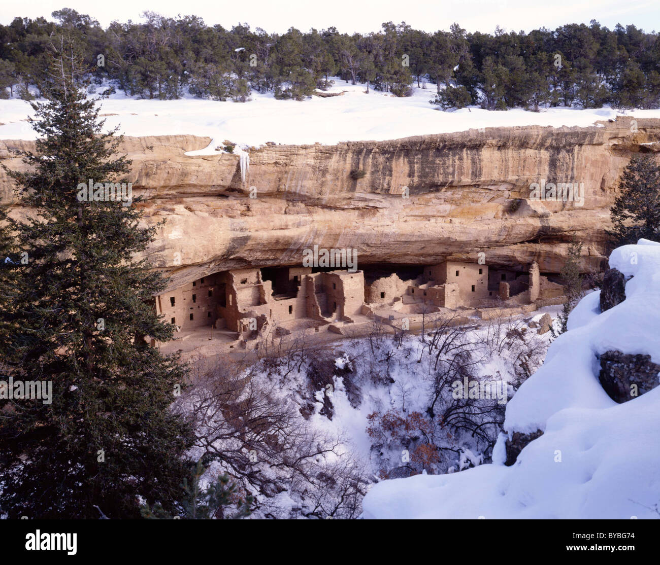 Cliff Palace, Mesa Verde National Park, Colorado Stock Photo - Alamy