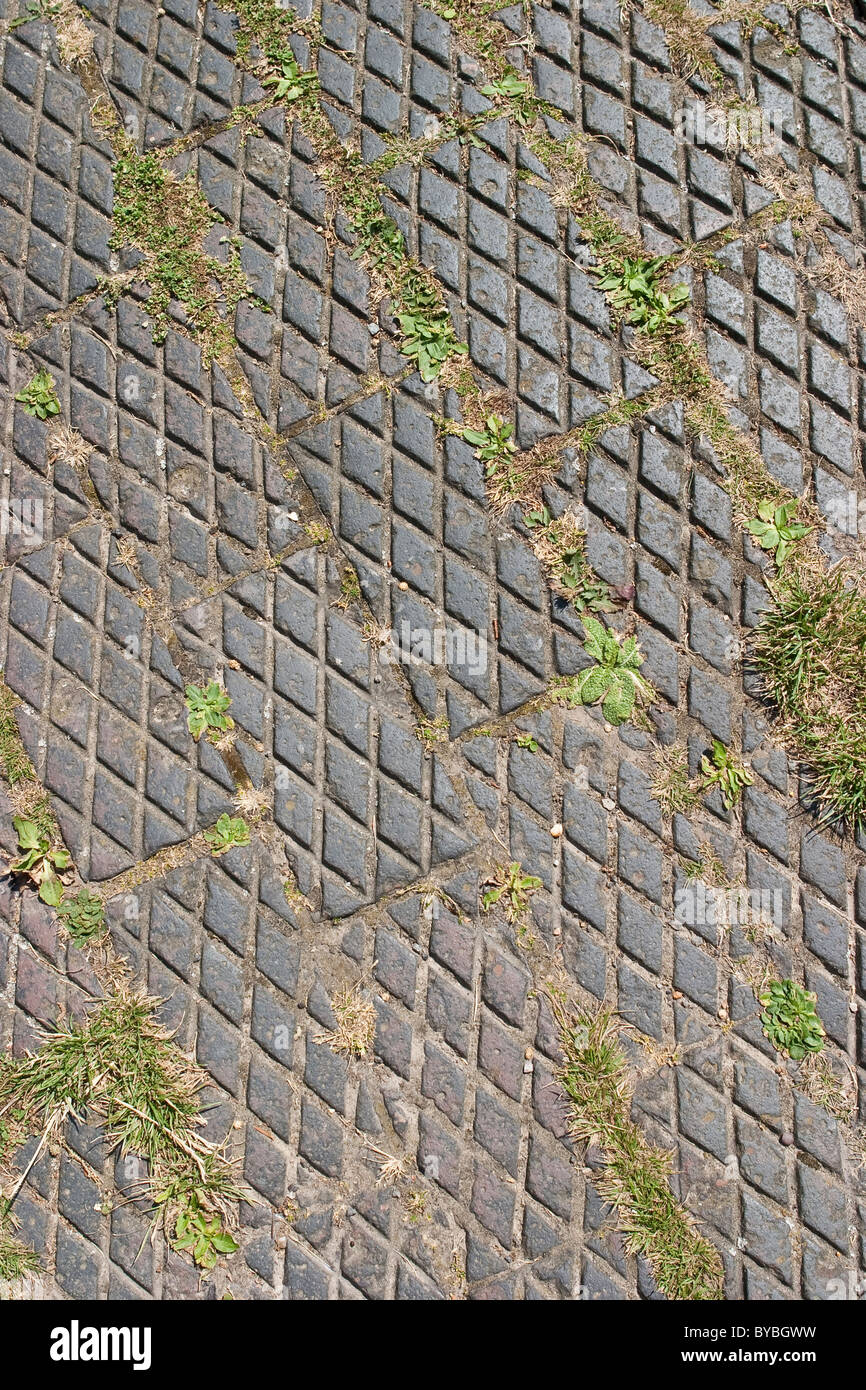 Weeds growing between paving Stock Photo Alamy