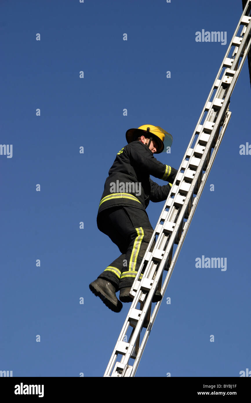 Fireman climbing a ladder during training drill Stock Photo Alamy