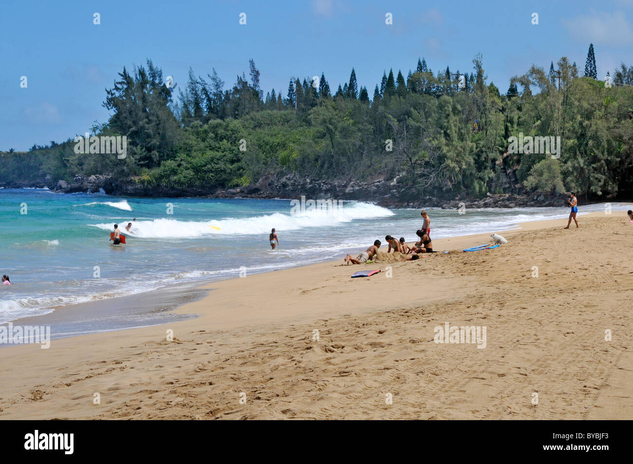 D T Fleming Beach Park Maui Hawaii Pacific Ocean Stock Photo - Alamy