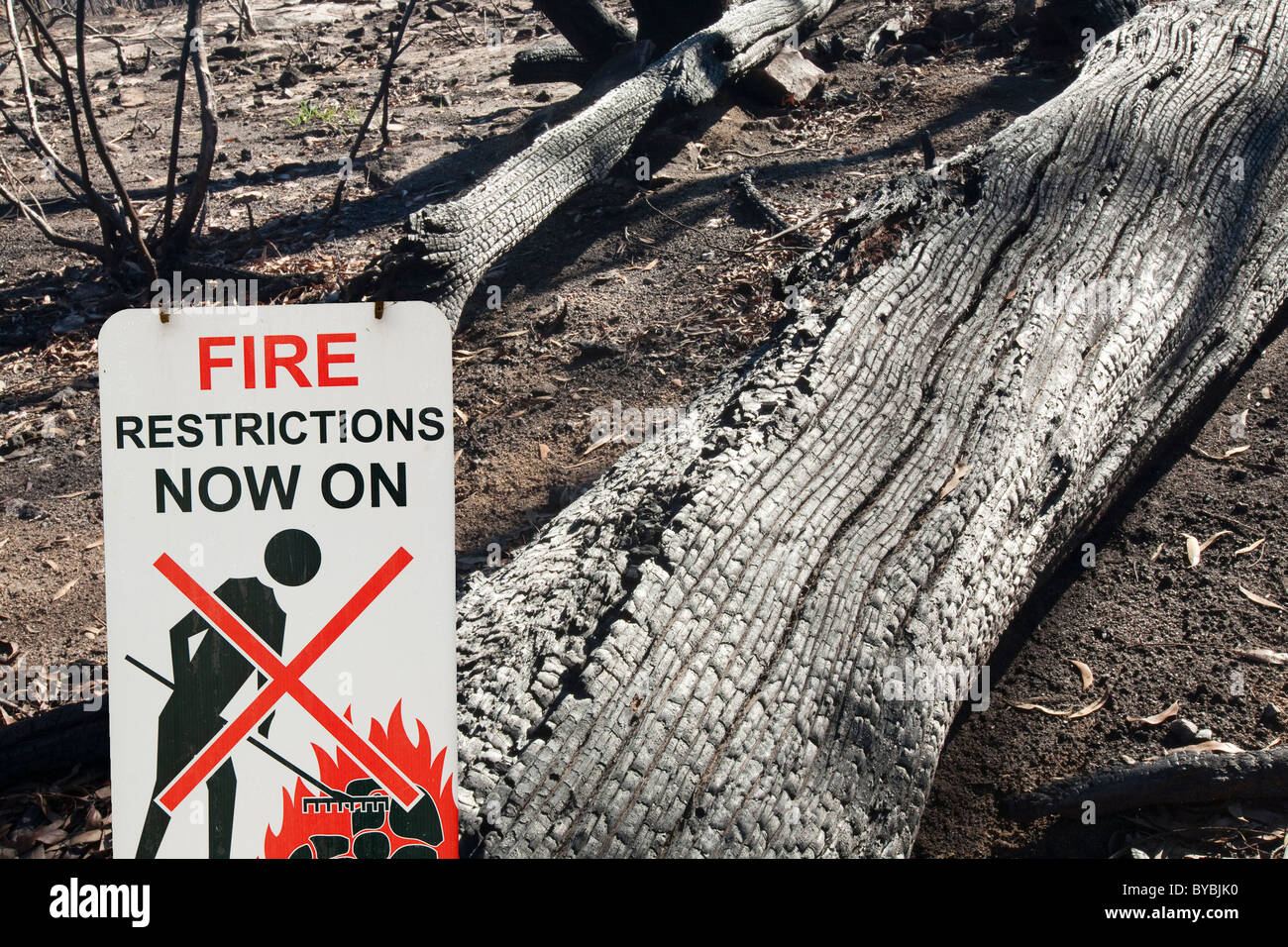 Forest destroyed by bush fires near Michelago, New South Wales, Australia, in December 2009. Stock Photo