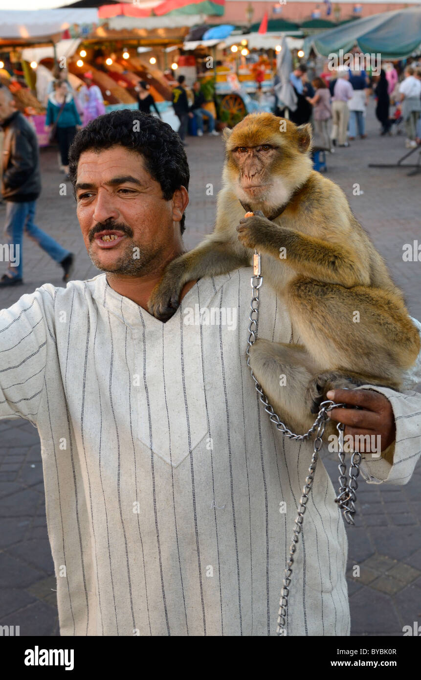 Trainer with monkey on a chain in Place Djemaa el Fna square marketplace in  Marrakech Morocco Stock Photo - Alamy