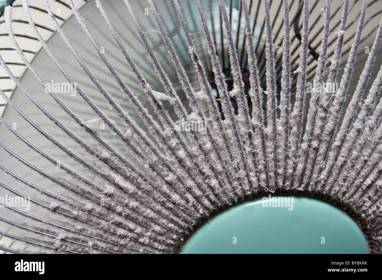 Dust on fan Stock Photo Alamy