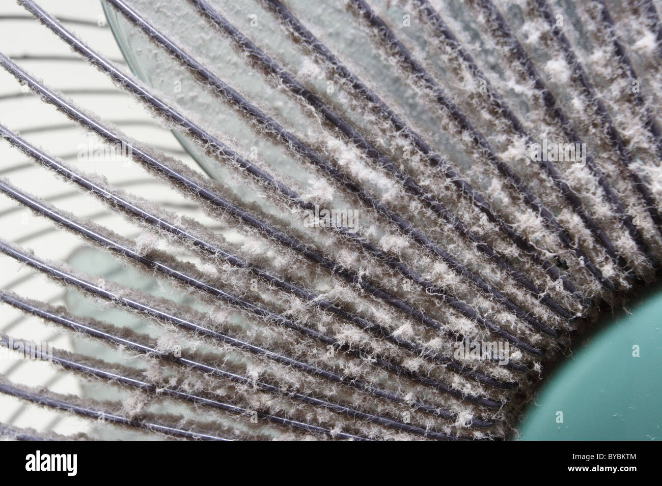 Dust on fan Stock Photo Alamy