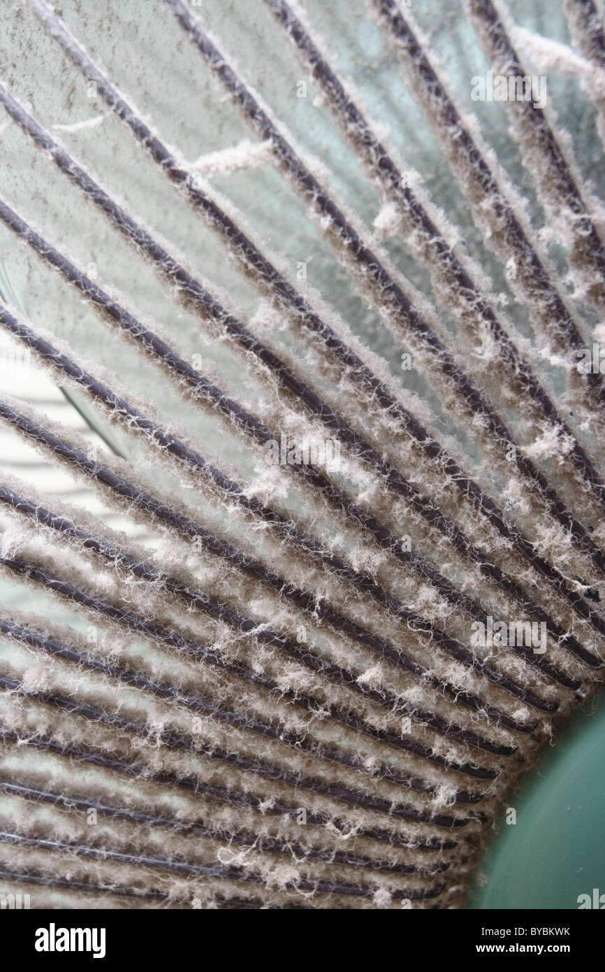 Dust on fan Stock Photo Alamy
