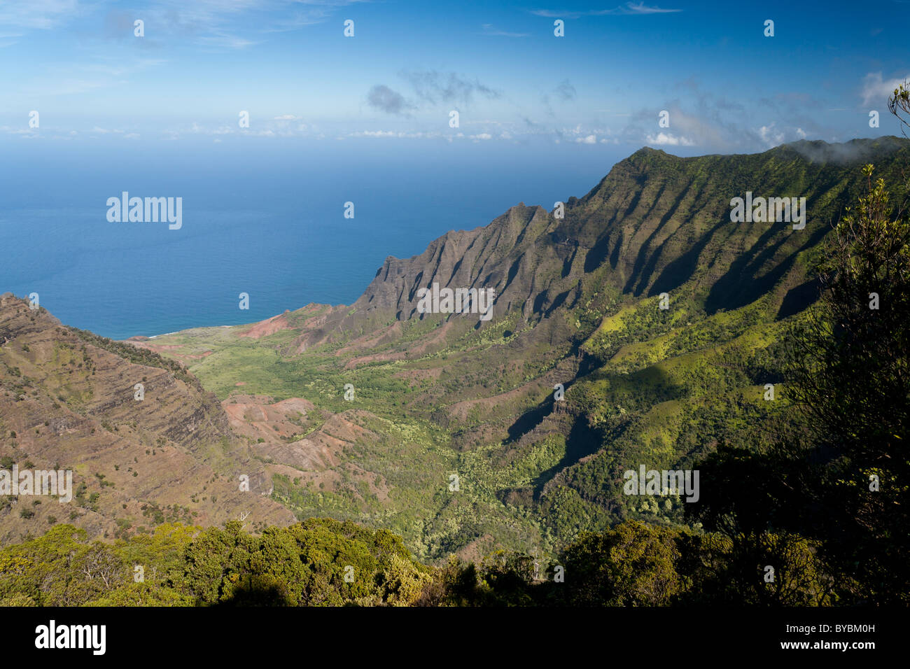 Kalalau Valley and mountains crisply above. View over the Kalalau Valley under a bright blue sky with the Pacific Ocean beyond. Stock Photo