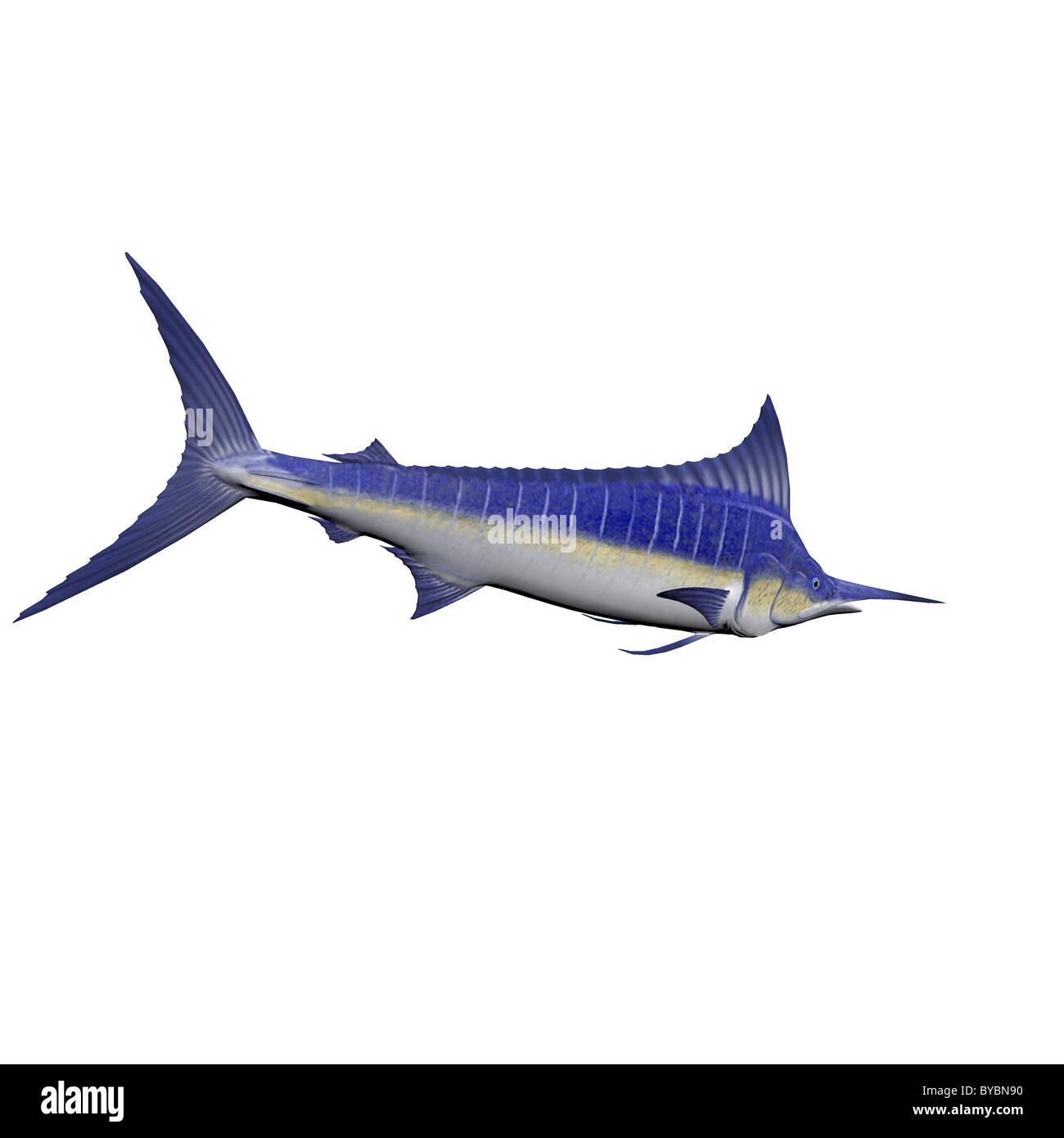 Illustrated Blue Marlin isolated over white Stock Photo