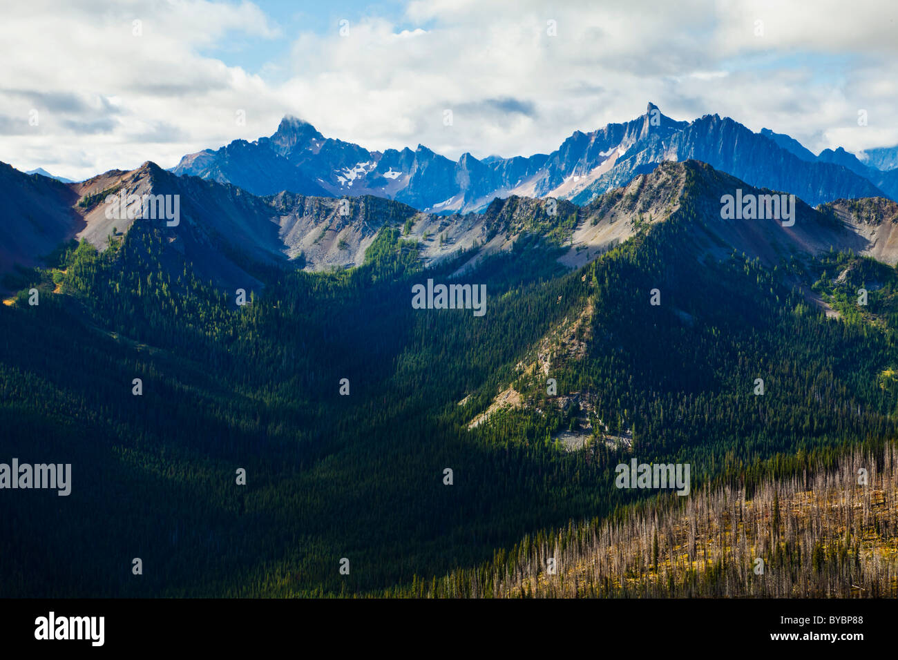 Tower Mountain and Golden Horn in the North cascades of Washington, USA. Stock Photo