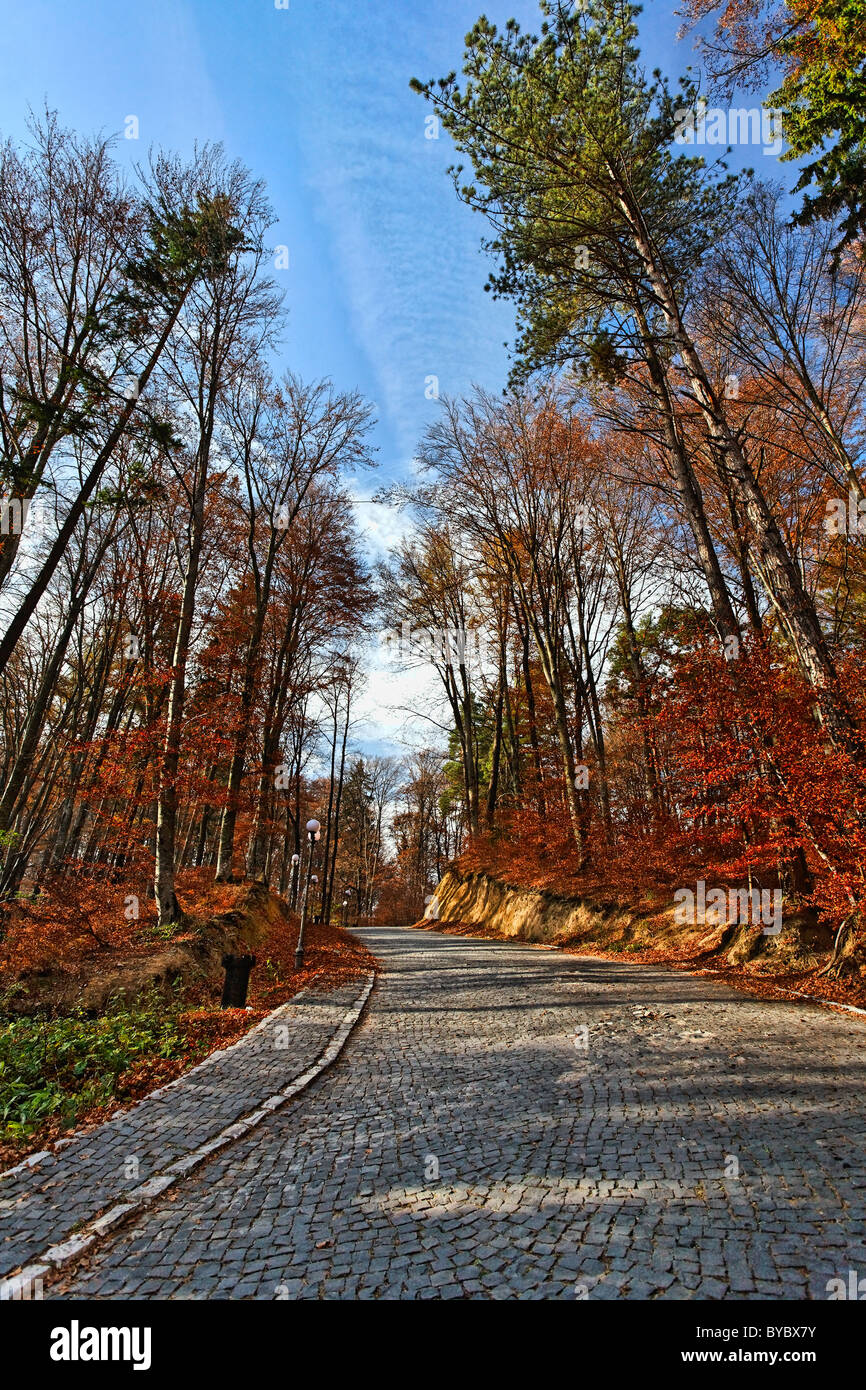 Stone paved alley in a park in the autumn Stock Photo - Alamy