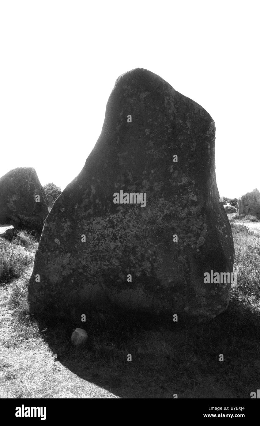 Megalithic rocks - menhirs on landscape, Carnac, Brittany, Bretagne, France Stock Photo