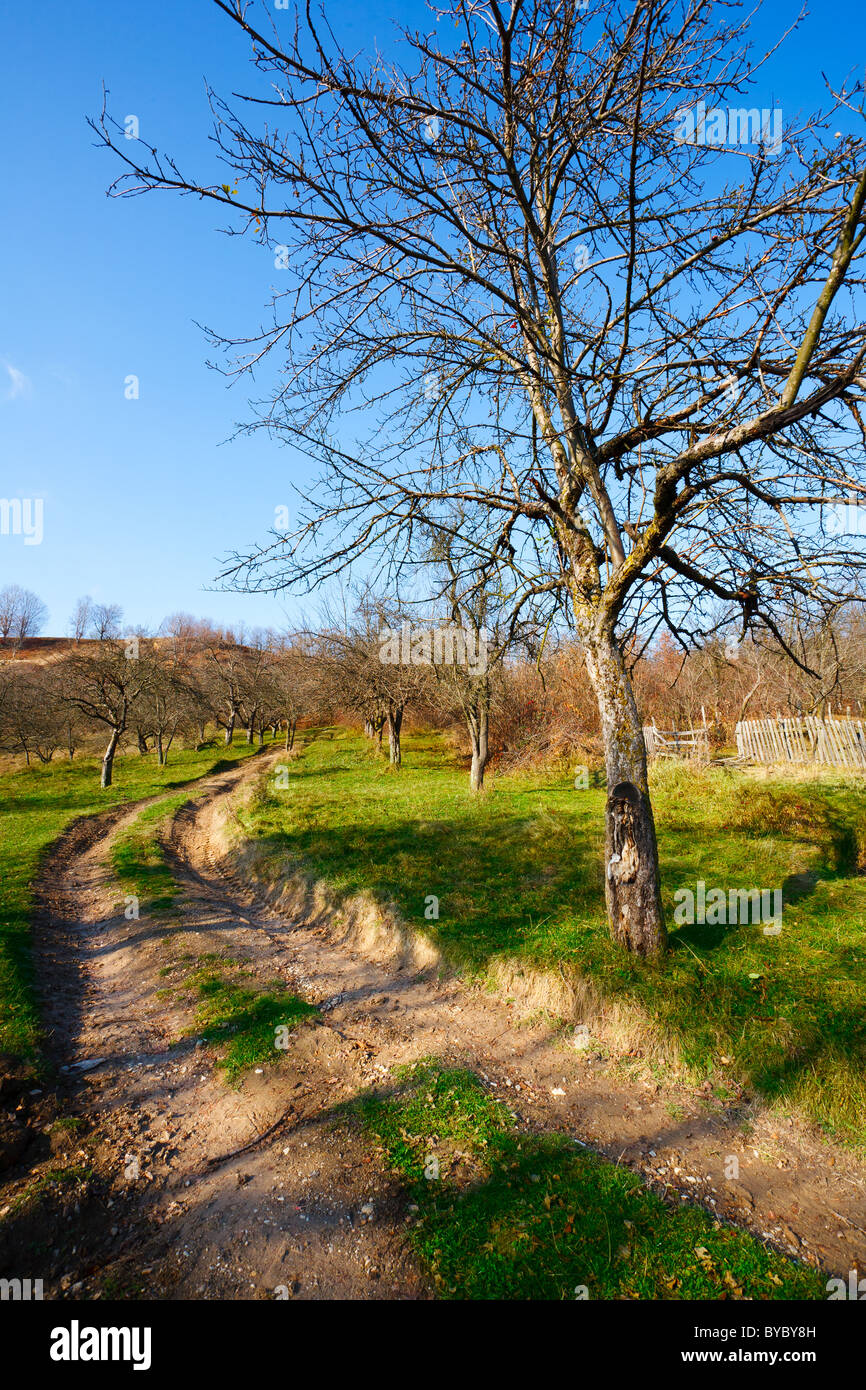 Vibrant landscape with rural dirt road and trees Stock Photo - Alamy
