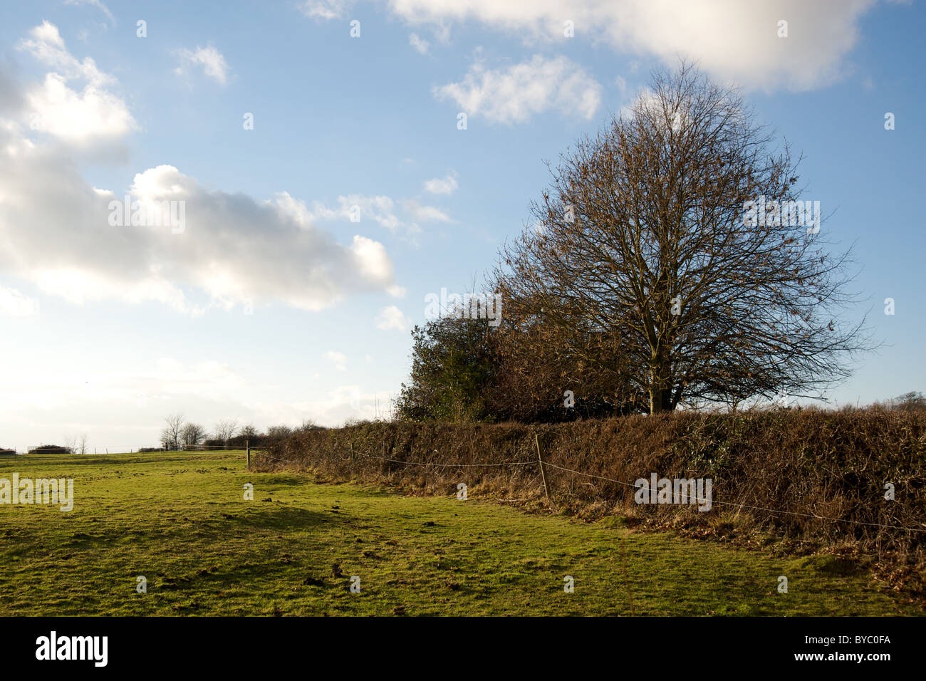 Rural countryside, Ettington, Warwickshire, England, UK Stock Photo