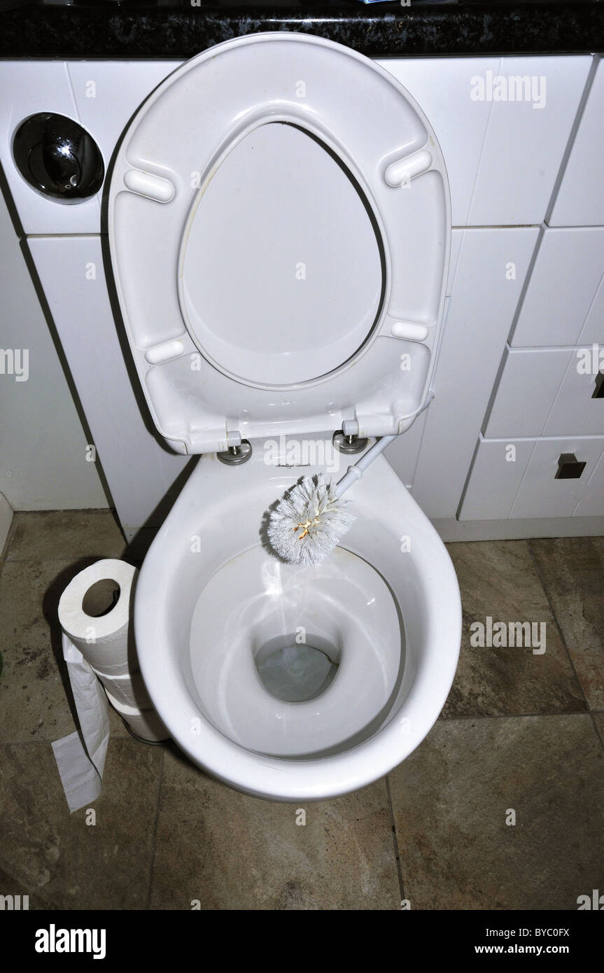 Health hazard,Dirty toilet brush ,laying across white water closet Stock Photo
