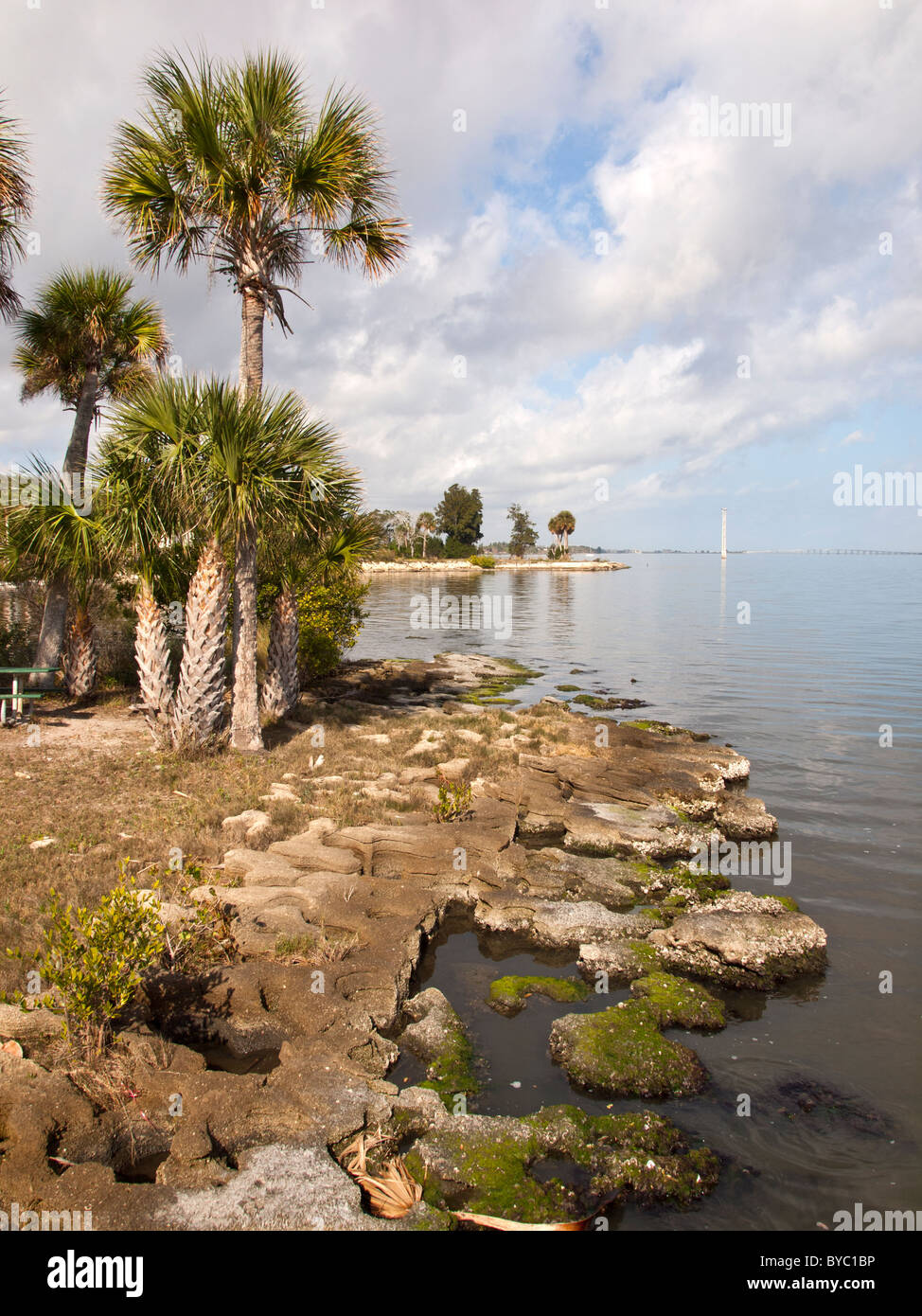 Palm bay florida hi-res stock photography and images - Alamy