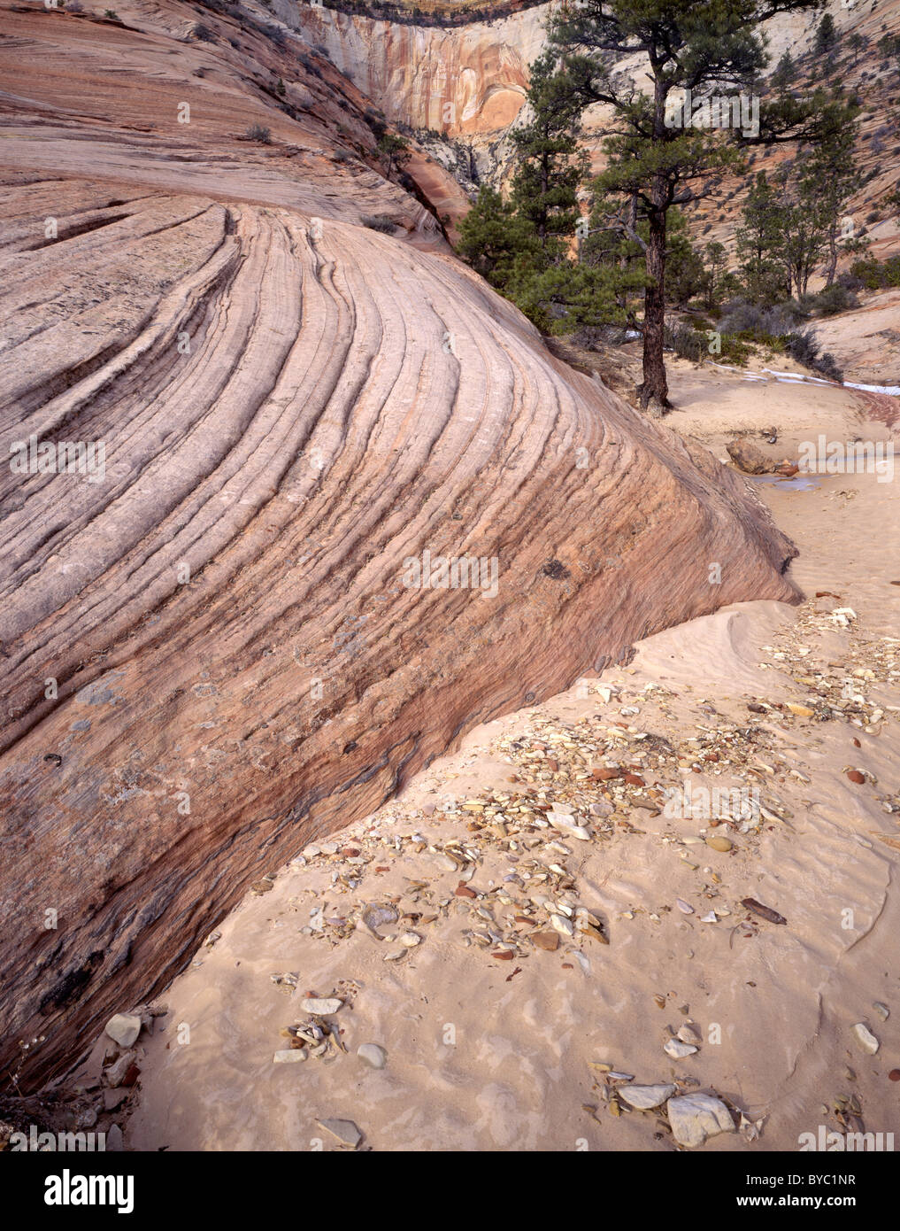 Sandstone Layers on Rock, Winter, Zion National Park, Utah Stock Photo