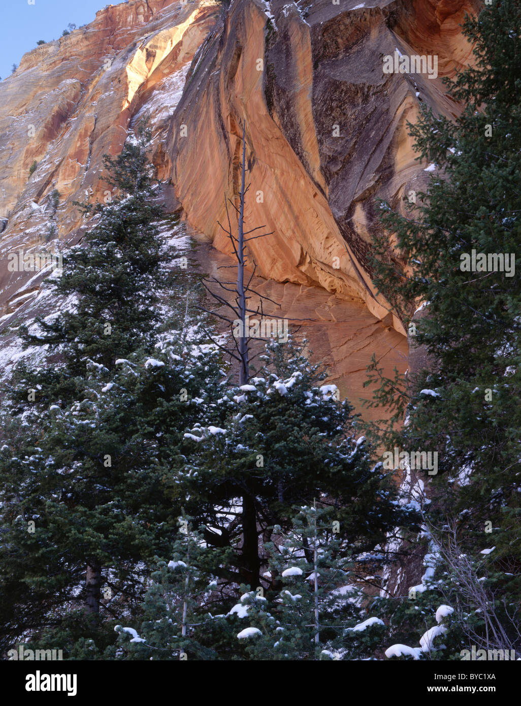 Sandstone Layers on Rock, Winter, Zion National Park, Utah Stock Photo