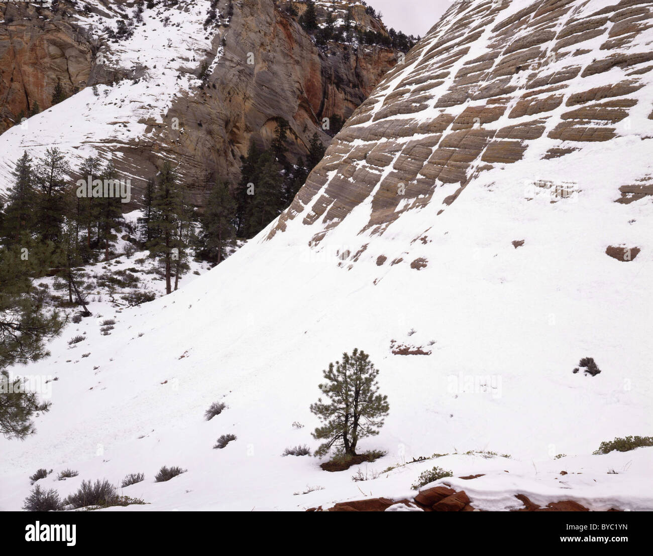 Sandstone Layers on Rock, Winter, Zion National Park, Utah Stock Photo