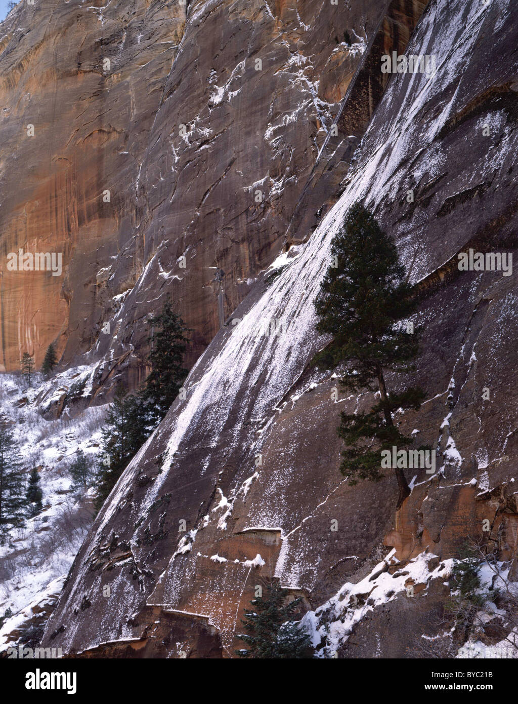 Sandstone Layers on Rock, Winter, Zion National Park, Utah Stock Photo