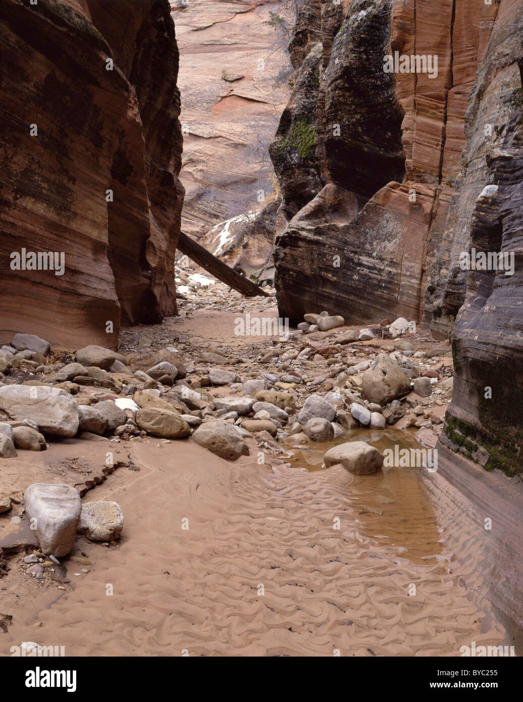 Sandstone Canyon, Winter, Zion National Park, Utah Stock Photo