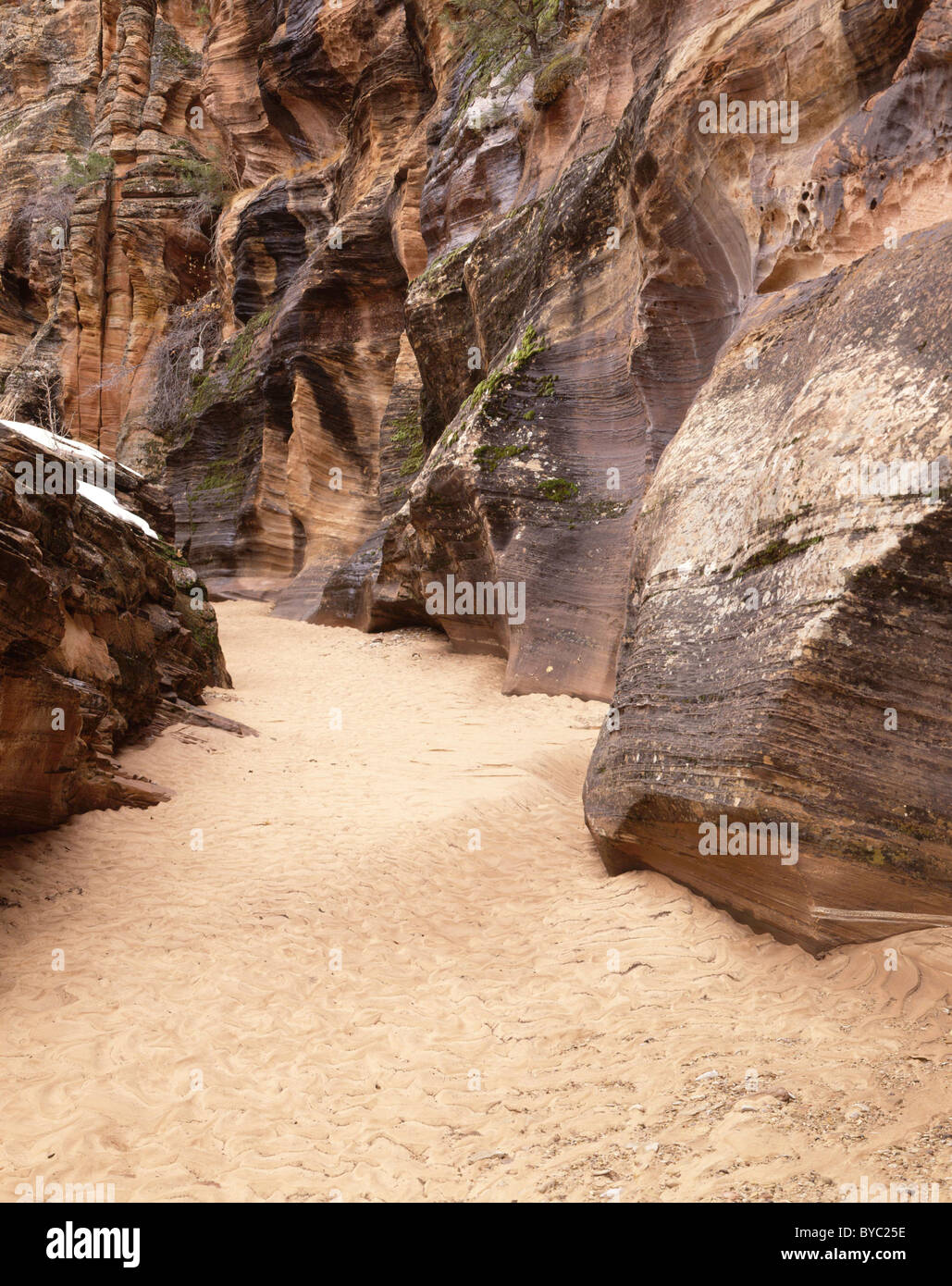 Sandstone Canyon, Winter, Zion National Park, Utah Stock Photo