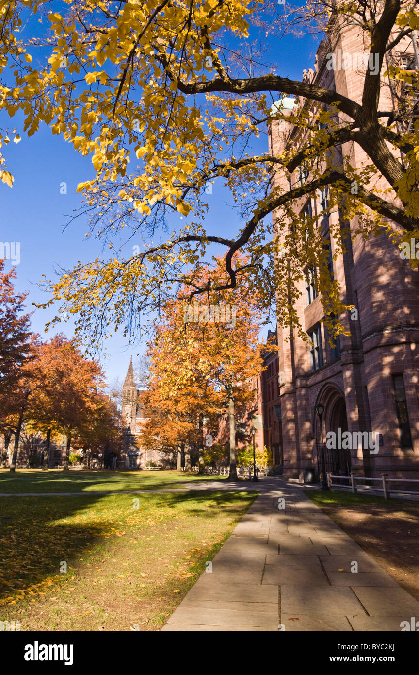 Yale University Campus, New Haven, Connecticut, USA Stock Photo Alamy