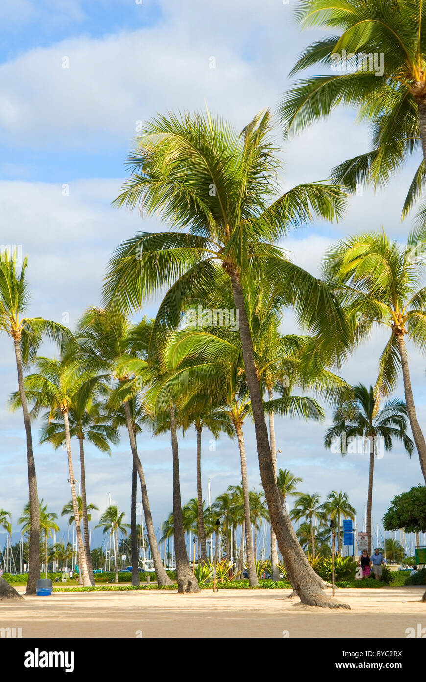 Waikiki beach resort hi-res stock photography and images - Alamy