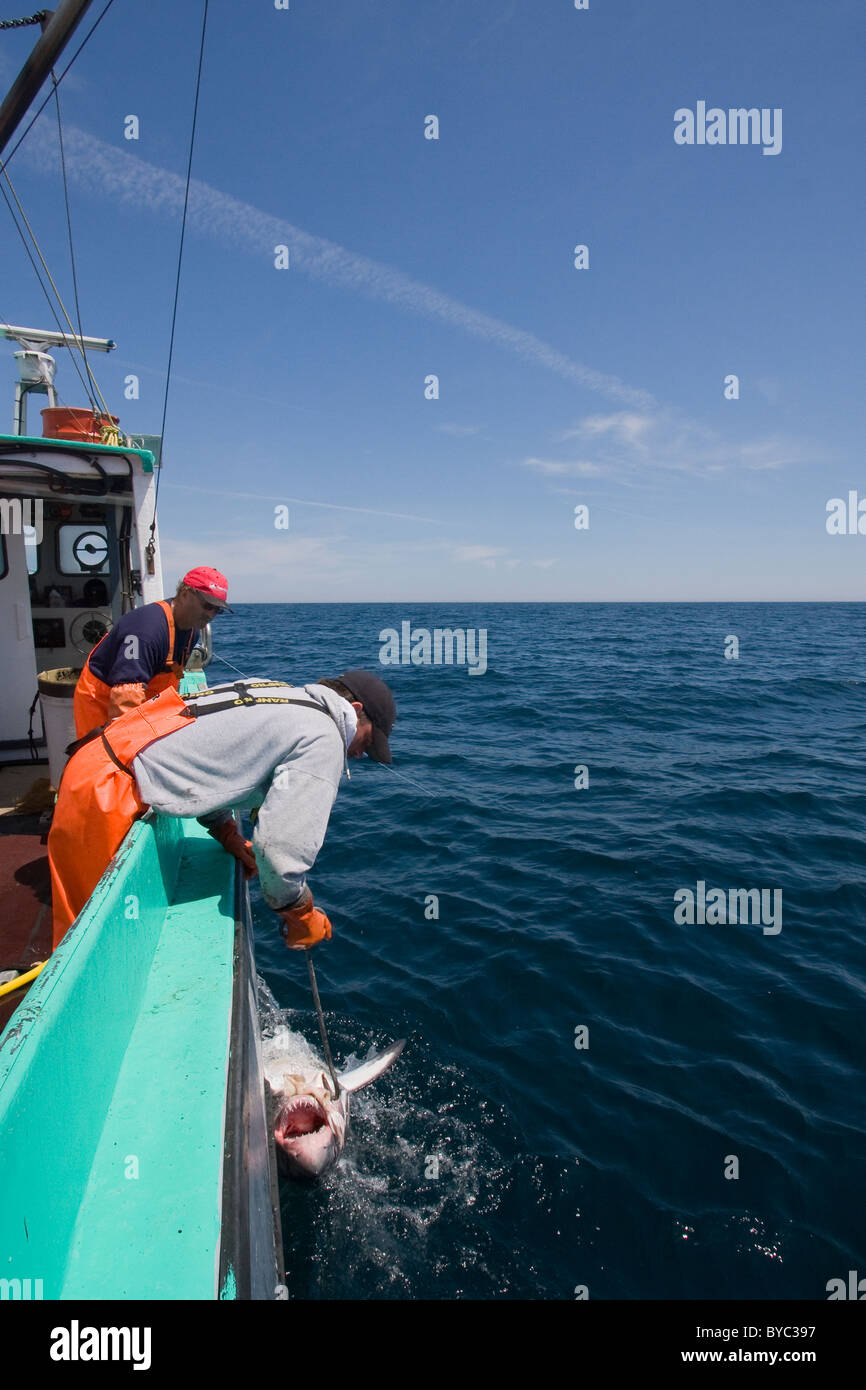 Fishing longline hi-res stock photography and images - Alamy