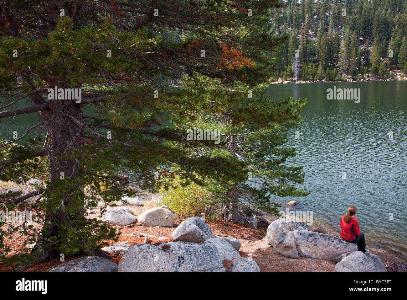 A hiker stops a Marlette Lake on the Flume Trail, Lake Tahoe, NV (model released) Stock Photo