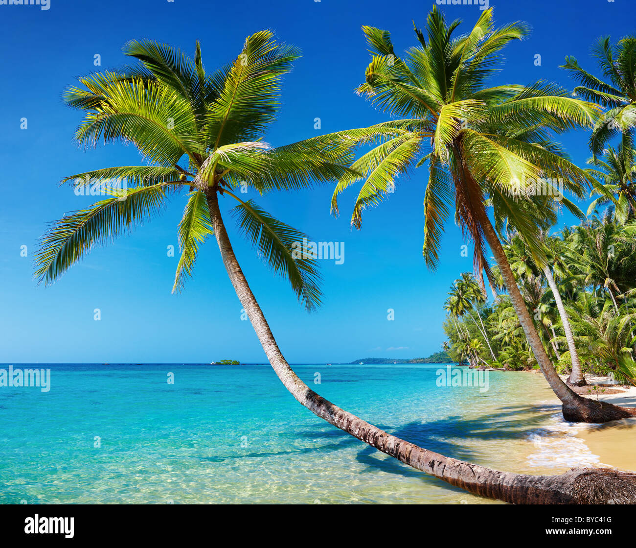Tropical beach with palms, Kood island, Thailand Stock Photo