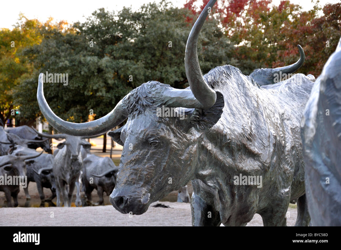 Cattle Drive sculpture ensemble by Robert Summers at Pioneer Plaza by