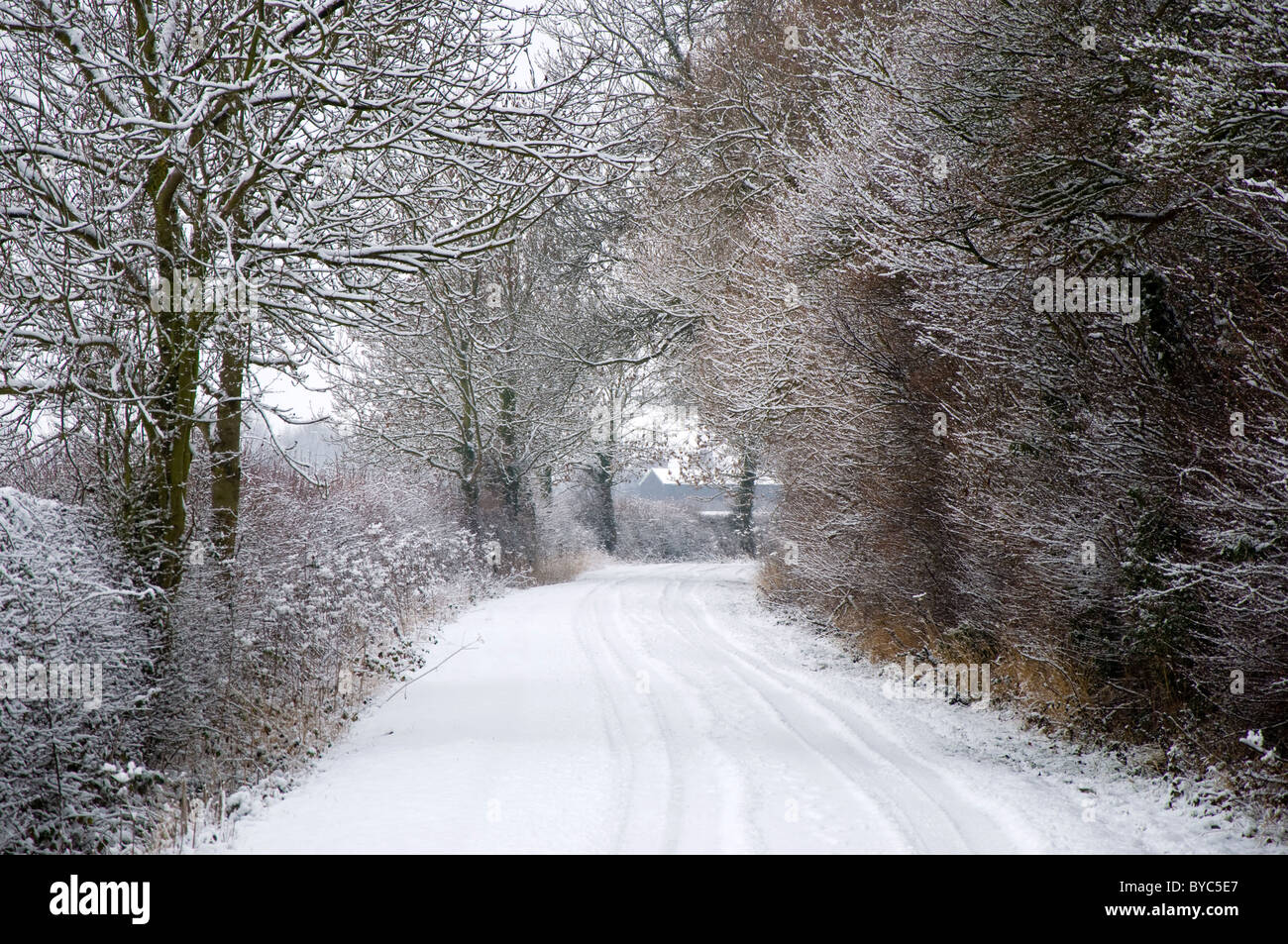Snow covered country lane, Bunny, Nottingham, England Stock Photo Alamy