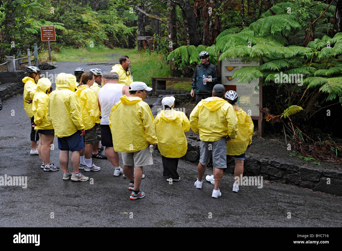 Visitors Thurston Lava Tube Hawaii Volcanoes National Park Pacific