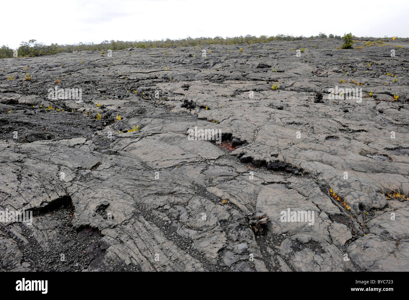 Hawaiian volcano hardened lava hi-res stock photography and images - Alamy