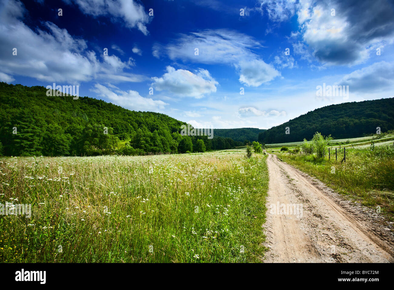 Landscape with forest and blue sky with clouds Stock Photo - Alamy