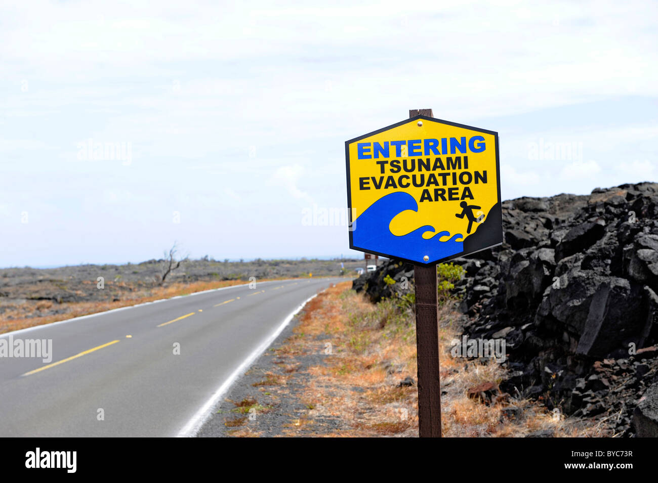 Hawaii volcano tsunami