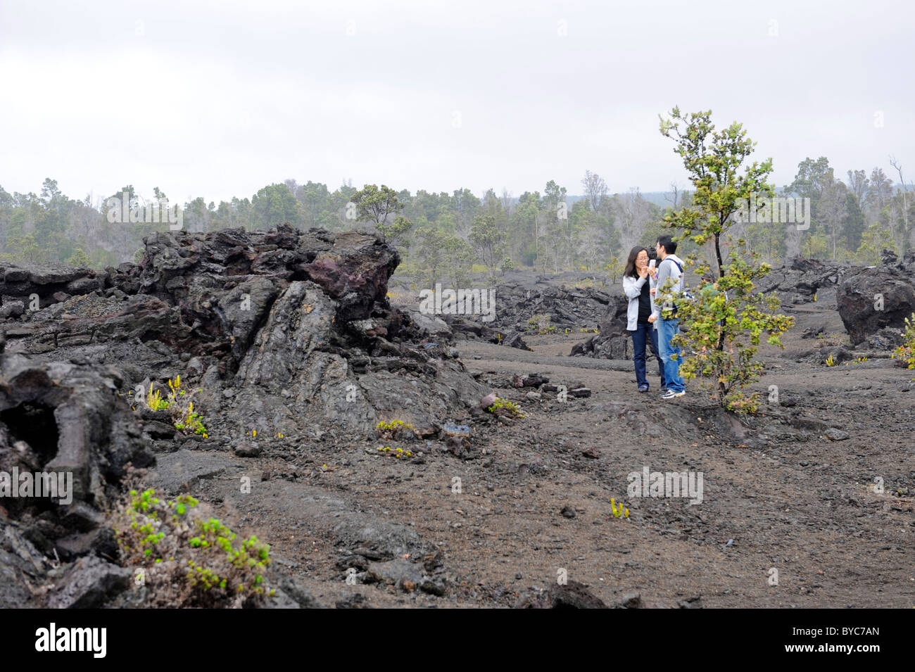 Lava Rock Chain of Craters Road Hawaii Volcanoes National Park Pacific ...