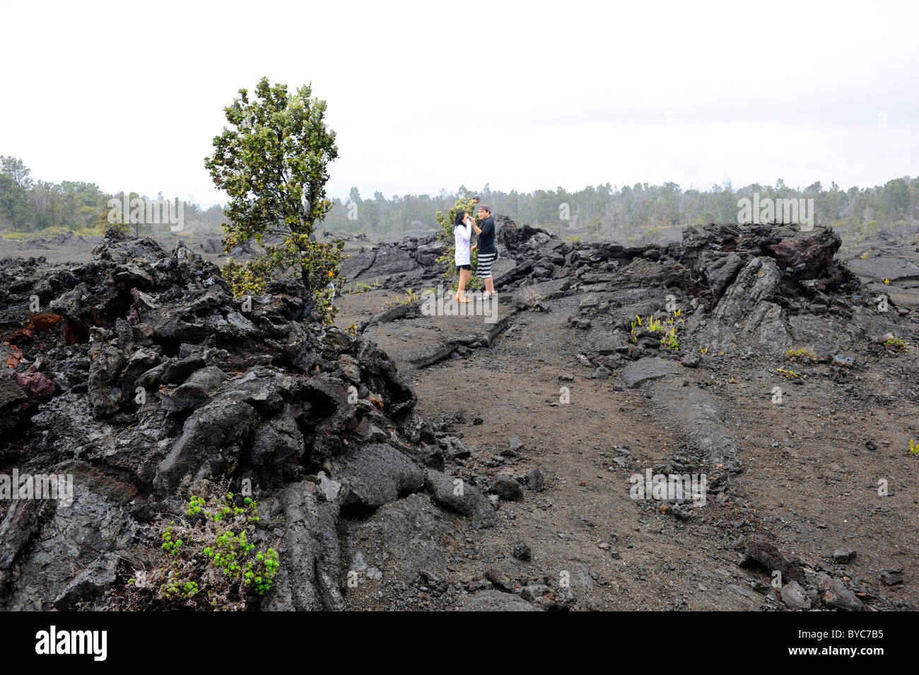Visitors Explore Lava Rock Chain of Craters Road Hawaii Volcanoes ...