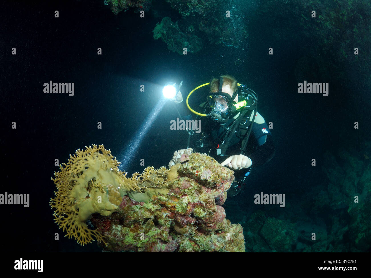 Male scuba diver in full face diving mask look at on coral reef Stock Photo