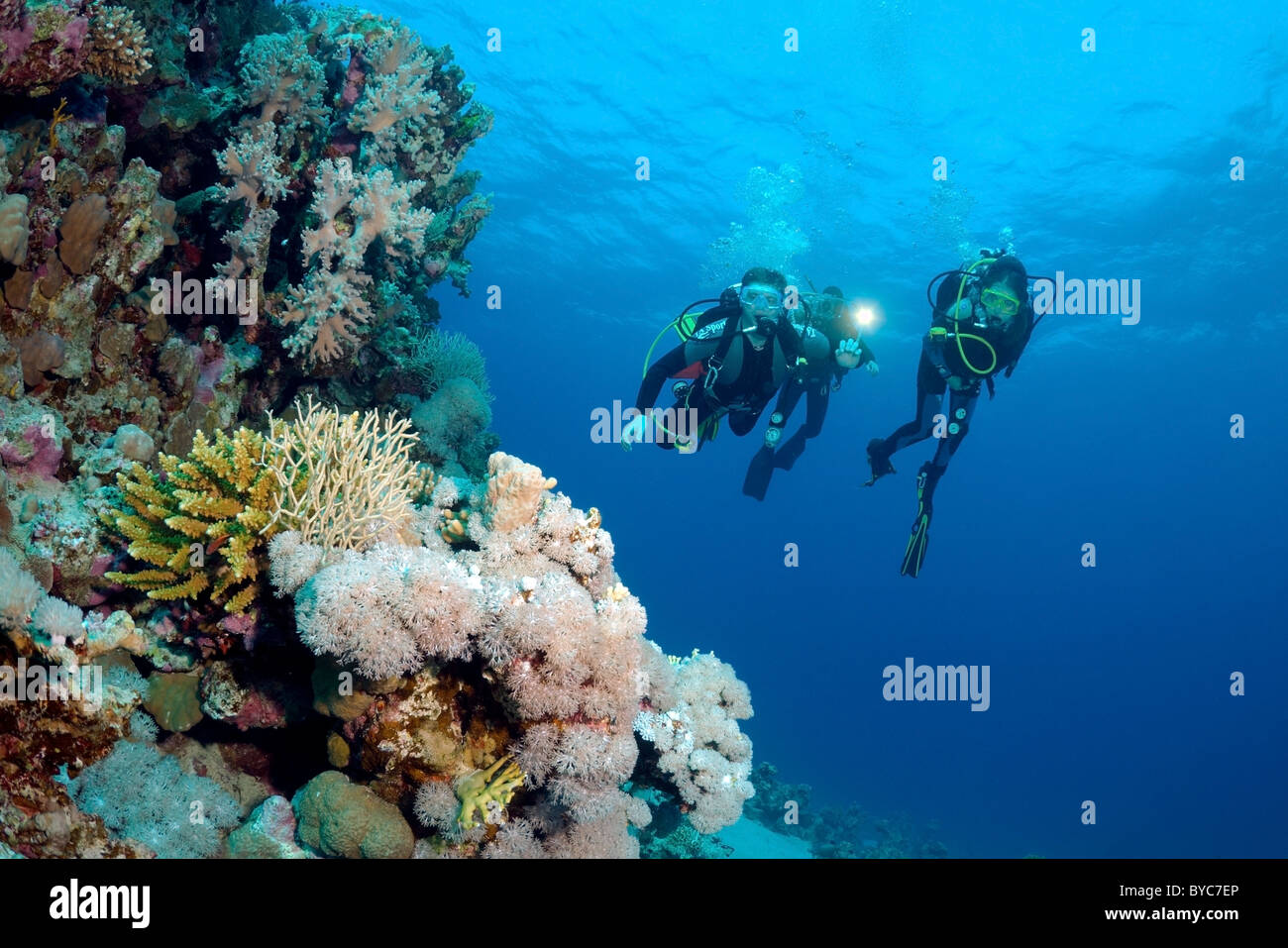 Scuba diver swim in the blue water abd look at on beautiful coral reef Stock Photo