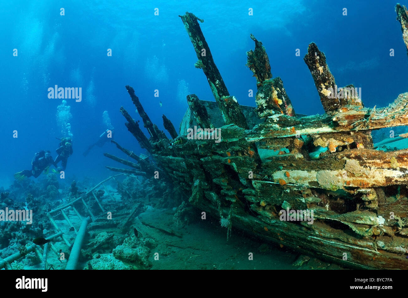 Group of scuba divers on wooden wreeckship. Divers inspects the skeleton of a wooden vessel Stock Photo