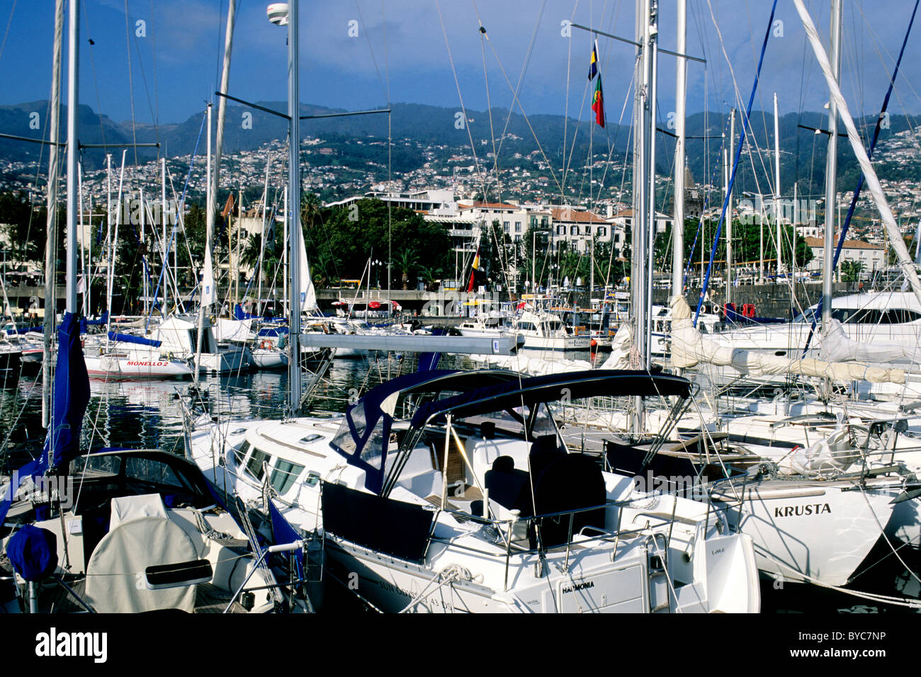 funchal yacht