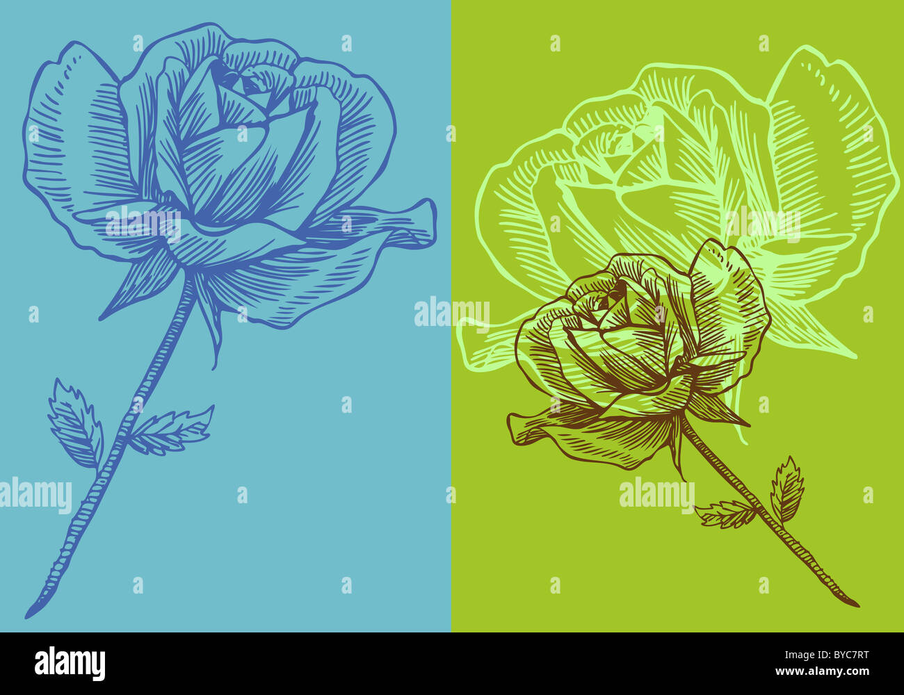 An image of a hand drawn rose Stock Photo - Alamy