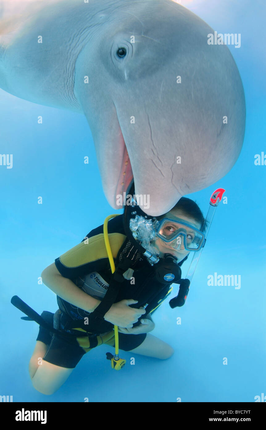 Boy and beluga whale hi-res stock photography and images - Alamy