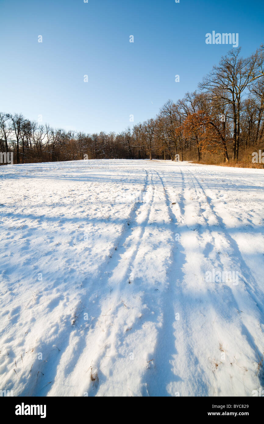 Winter landscape with forest under blue sky Stock Photo - Alamy